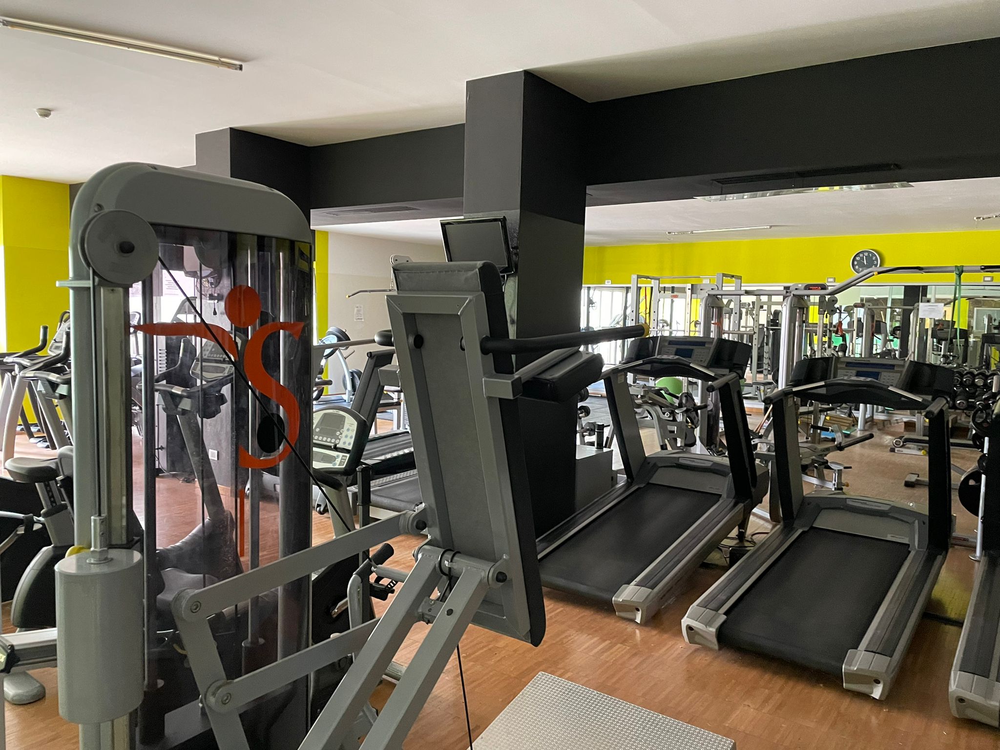 MB STUDIO PROPONE IN AFFITTO PALESTRA